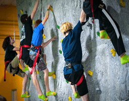 Indoor Rock Wall